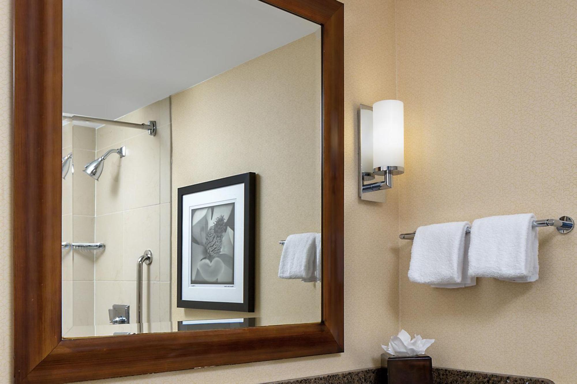 Wyndham Atlanta Buckhead Hotel & Conference Center Zewnętrze zdjęcie